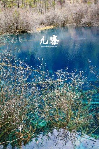 洞穴陷阱逃生