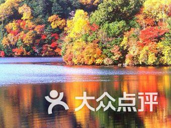 酷派锋尚50震撼上市，中式美学与卓越性能兼得的入门新标杆