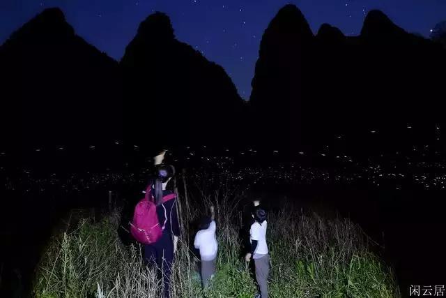 山东从业资格证查询电子网站游戏画面