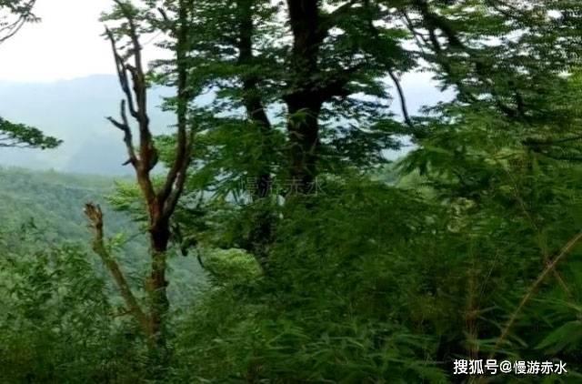 素描小子跑酷无敌版