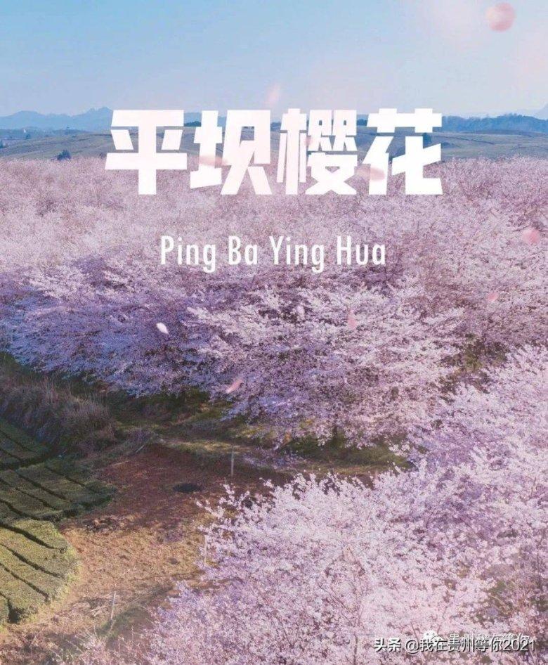 因为用了这款红包封面，他们堵了我一下午