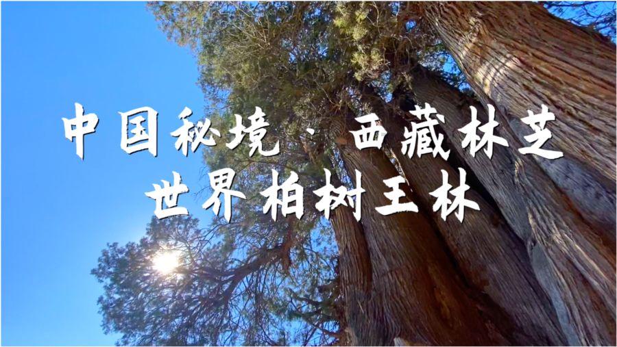 轩辕剑4外传：苍之涛