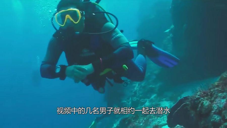 苹果给创作者加鸡腿 空间音频音乐版税翻倍增长