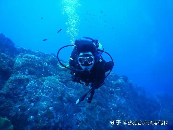 逗小猴开心系列213