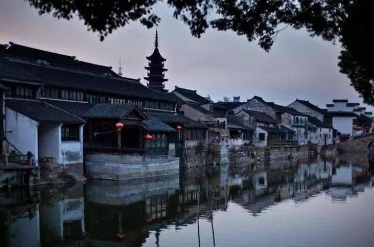 热议《花儿与少年》痛失往季流量,最大的无奈是什么?,尽在《花儿与少年》痛失往季流量,最大的无奈是什么?红迪网!