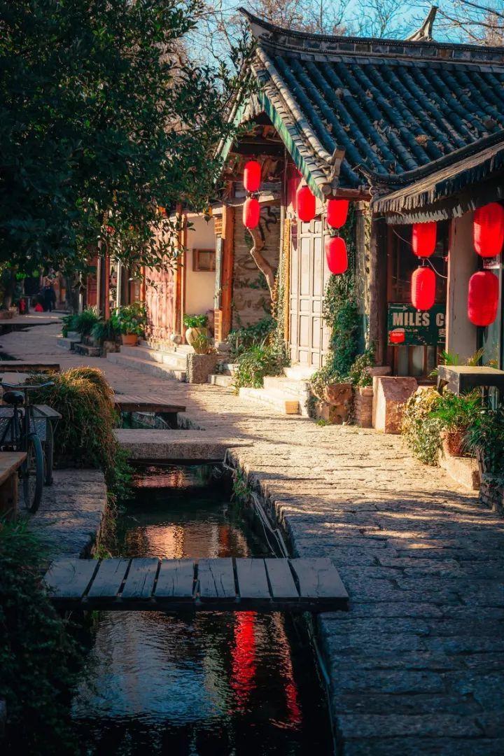探索吉鹿力问答社区,解锁更多是你呀曾经拥有那笑颜如花是什么歌?知识