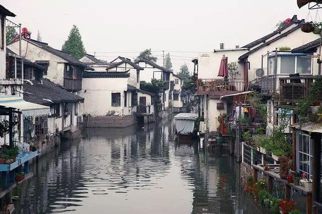 玩具店里的娃娃