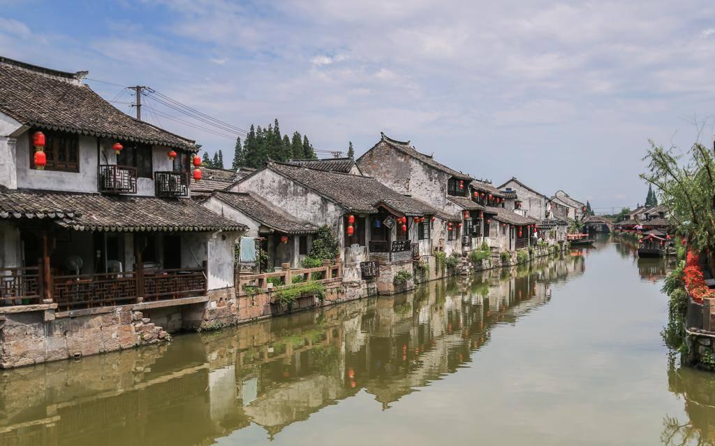 逃离仿真森林